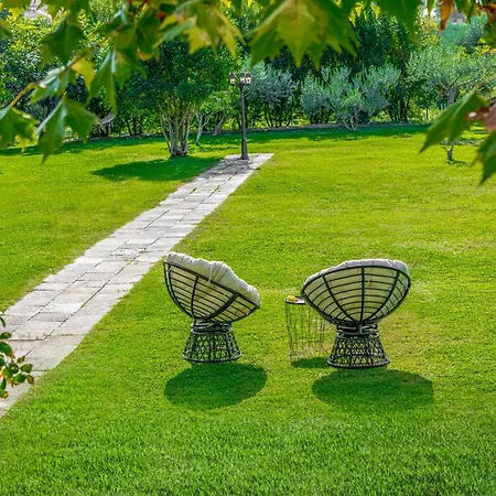 Harmony Haven *